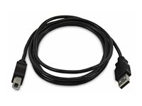 StarTech.com - USB-kabel - TAA-kompatibel - USB (hane) till USB typ B (hane) - USB 2.0 - 1.8 m SKUSBAB06-TAA