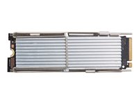 HP - SSD - Value - 256 GB - inbyggd - M.2 2280 - PCIe 4.0 x4 (NVMe) - för Workstation Z2 G9 (mini) 4N009AA