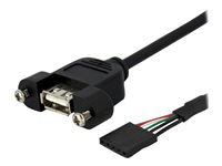 StarTech.com 3 ft Panel Mount USB A to Motherboard Header Cable F/F - USB-intern till extern kabel - 5 stifts USB 2.0-rubrik (hona) till USB (hona) - 90 cm - svart USBPNLAFHD3