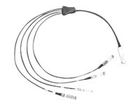 Cisco Direct-Attach Breakout Cable - Nätverkskabel - QSFP+ (hane) till SFP+ (hane) - 5 m - SFF-8431/SFF-8436/SFF-8461 - passiv - grå - för P/N: FPR4225-ASA-K9, HCI-FI-6454, N9K-C9348-FX3-B24C, NC57C3-MOD-P-SYS, NC57C3-MODS-P-SYS QSFP-4SFP10G-CU5M=