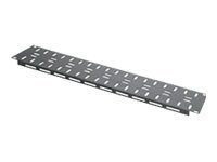Middle Atlantic LBP-LTF - Kabelhanteringsskena - svart pulverlack - 2U - 19" (paket om 10) LBP-LTF