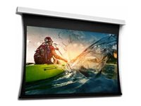 Da-Lite Tensioned DescenderPro - Projektorduk - takmontering - motoriserad - 153" (389 cm) - 16:9 - Matte White 10106679