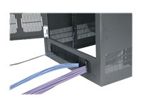 Middle Atlantic 38RU Cable Entry Rear Door for BGR Racks - Cable entry rear door - bak - svart - 39U BGR-RDC38