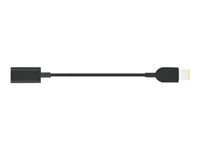 Lenovo USB-C to Slim-tip Cable Adapter - Adapter för effektkontakt - 24 pin USB-C hona till ström hane 4X90U45346