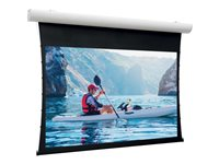 Da-Lite Tensioned Elpro Concept - Projektorduk - takmontering, väggmontering - motoriserad - 230 V - 131" (333 cm) - 16:9 - HD Progressive 1.0 - RAL 9016 10103953