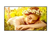 LG 43UL5Q-E - 43" Diagonal klass UL5Q-E Series LED-bakgrundsbelyst LCD-skärm - digital skyltning med integrerat Pro:Idiom - webOS - 4K UHD (2160p) 3840 x 2160 - Direct LED - svart 43UL5Q-E