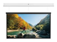 Da-Lite DescenderPro - Projektorduk - takmontering - motoriserad - 230 V - 162.6" (413 cm) - 16:10 - Matte White - RAL 9016 10101762