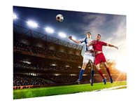 Da-Lite FullVision - Projektorduk - väggmontering - 116" (295 cm) - 16:10 - HD Progressive 1.3 10600796