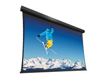 Da-Lite Extensa - Projektorduk - 400 x 640 cm, tensioned - väggmontering, takmontering - motoriserad - 230 V - 297" (754 cm) - 16:10 - Matte White - RAL 7021 10101479
