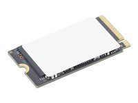 Lenovo - SSD - krypterat - 256 GB - inbyggd - M.2 2242 - PCIe 4.0 (NVMe) - TCG Opal Encryption 2.0 - blå 4XB1T94544