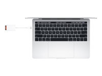 Apple USB-C to SD Card Reader - Kortläsare (SD) - USB-C MUFG2ZM/A