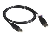 StarTech.com 3 m Certifierad USB 2.0 A- till B-kabel - M/M - USB-kabel - USB (hane) till USB typ B (hane) - USB 2.0 - 3 m - formpressad - svart - för P/N: RKCOND17HD, SV431DL2DU3A, SV431DPDDUA2, USB2001EXT2NA, USB2002EXT2NA, USB2004EXT2NA USB2HAB10