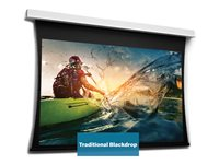 Da-Lite Tensioned DescenderPro - Projektorduk - takmontering - motoriserad - 230 V - 175.98" (447 cm) - 16:9 - HD Progressive 1.3 - RAL 9016 10104660