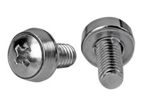 StarTech.com 12-24 Server Rack Screws - 50 pack - Nickel-plated - Rackskruvar - silver - USA:s regering - TAA-kompatibel (paket om 50 delar) - för P/N: RK630WALVS, RK830WALVS CABSCRWS1224
