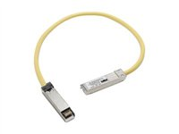 Cisco - Patch-kabel - SFP (hane) till SFP (hane) - 50 cm - för Catalyst 3560, 3560E, 3560G, 3560V2, 3560X CAB-SFP-50CM=