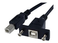 StarTech.com 1 ft Panel Mount USB Cable B to B - F/M - USB cable - USB Type B (F) to USB Type B (M) - USB 2.0 - 1 ft - molded, thumbscrews - black - USBPNLBFBM1 - USB-kabel - USB typ B (hona) till USB typ B (hane) - USB 2.0 - 30 cm - formpressad, tumskruvar - svart - för P/N: USB2HAB10, USB2HAB15, USB2HAB30AC, USB2HAB50AC, USB2HAB6, USB2HABM1, USB2HABM6RA USBPNLBFBM1