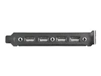 StarTech.com 4 Port USB A Female Slot Plate Adapter - USB panel - 4 pin USB Type A (F) (USBPLATE4) - USB-panel - USB (hona) till 9 stifts IDC (hona) USBPLATE4