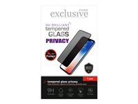 Insmat Exclusive - Skärmskydd för mobiltelefon - helskärm, 9H Brilliant - glas - med sekretessfilter - 2-vägs - ramfärg svart - för Samsung Galaxy Xcover 6 Pro, XCover7, XCover7 Pro 861-1705