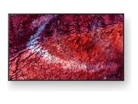 Sony Bravia Professional Displays FW-75BZ40P - 75" Diagonal klass BZ40P Series LED-bakgrundsbelyst LCD-skärm - digital skyltning - Android - 4K UHD (2160p) 3840 x 2160 - HDR - Direct LED FW75BZ40PB.CEI