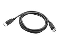 Lenovo - DisplayPort-kabel - DisplayPort (hane) till DisplayPort (hane) - 1.8 m - för ThinkCentre M75t Gen 2; M80s Gen 3; M90a Gen 3; M90q Gen 2; M90t Gen 3; ThinkCentre neo 70 0A36537