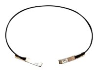 Cisco 40GBASE-CR4 Passive Copper Cable - 40GBase-CR4 direktkopplingskabel - QSFP till QSFP - 50 cm - passiv - återanvänd - för Nexus 93108TC-EX, 93180YC-FX, 9336C-FX2, 9372PX-E QSFP-H40G-CU05M-RF
