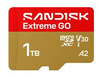 SanDisk Extreme Go - Flash-minneskort - 1 TB - A2 / Video Class V30 / UHS-I U3 - microSDHC UHS-I SDSQXGN-1T00-GN6MN