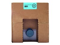 HP 891 - 10000 ml - ljus cyan - original - bläckpatron - för Latex 3000, 3100, 3200, 3500, 3600, 3800 Jumbo, 3800 Jumbo Roll Solution G0Y76A