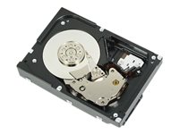 Dell - Kundsats - hårddisk - 2 TB - inbyggd - 3.5" - SATA 6Gb/s - 7200 rpm - för PowerEdge T130 (3.5"), T330 (3.5"), T430 (3.5") 400-AUST