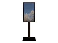 HI-ND Floorstand Glass with Casing 55" - Ställ - för LCD-panel för digital skyltning - metall, glas - svart, RAL 9005 - skärmstorlek: 55" - monteringsgränssnitt: 200 x 200 mm - golvstående - för Samsung QB55, QH55, QM55 FS5512-5001-02