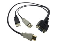 Lantronix - Bildskärmskabel - USB, HD-15 (VGA) (hona) till HDMI (hane) - 54.9 cm - för SecureLinx SpiderDuo 500-196-R-ACC