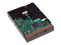 HP - Hårddisk - 500 GB - inbyggd - 3.5" - SATA 6Gb/s - 7200 rpm - buffert: 16 MB - för Workstation Z1 G5, Z2 G4, Z2 G5, Z2 G8, Z2 G9, Z238, Z4 G4, Z420, Z6 G4, Z620, Z640, Z8 G4 LQ036AA