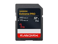 SanDisk Extreme PRO - Flash-minneskort - 1 TB - Video Class V30 / UHS-I - SDXC UHS-I SDSDXXJ-1T00-GSCIN