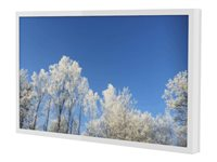 HI-ND Wall Casing EASY 49" Landscape - Monteringssats (hölje) - för LCD-display - metall - vit, RAL 9003 - skärmstorlek: 49" - väggmonterbar - för LG 49UH5F-H, 49UH7F-B, 49UH7F-H; Samsung QB49R, QM49R WC4900-0101-01