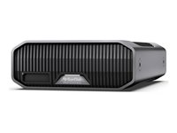 SanDisk Professional G-DRIVE PROJECT - Hårddisk - Enterprise - 22 TB - extern (desktop) - USB 3.2 Gen 2 / Thunderbolt 3 (USB-C kontakt) - 7200 rpm - grå SDPHG1H-022T-MBAAD