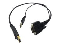 Lantronix - Bildskärmskabel - DisplayPort till USB, HD-15 (VGA) (hane) - 54.9 cm 500-195-R-ACC