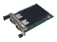 FUJITSU PLAN EP Intel X710-T2L - Nätverksadapter låg profil - 10GbE - för PRIMERGY RX2530 M6, RX2540 M6 PY-LA342U