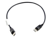 Lenovo - DisplayPort-kabel - DisplayPort (hane) till DisplayPort (hane) - 0.5 m - för ThinkCentre M75t Gen 2; M80s Gen 3; M90a Gen 3; M90q Gen 2; M90t Gen 3; ThinkCentre neo 70 0B47396